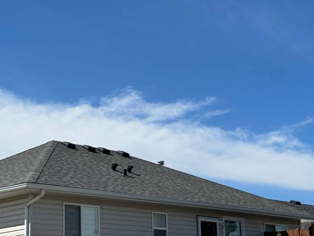 Best Roof Ventilation Installation  in Jeanerette, LA